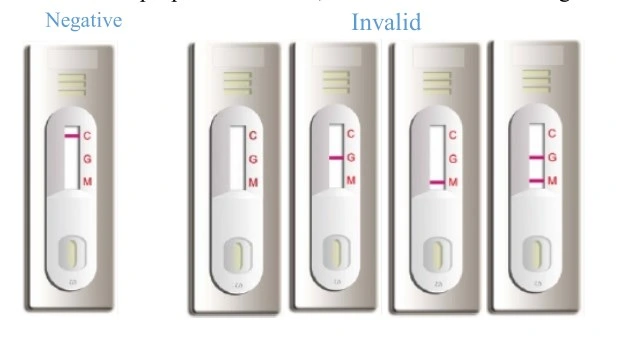 Juscheck Typhoid Test Kit Just Check Typhoid Test