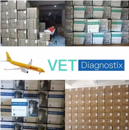 Cpv Cdv Test Kit Canine Distemper Parvo Virus Antigen Kit de test rapide
